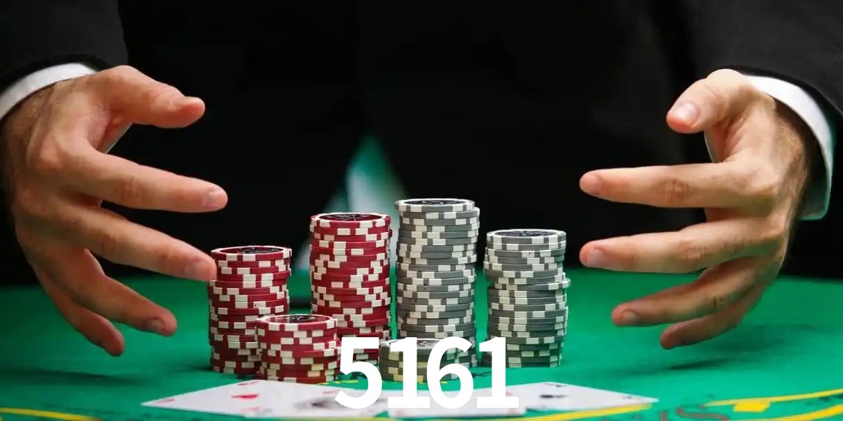 5161,5161.com